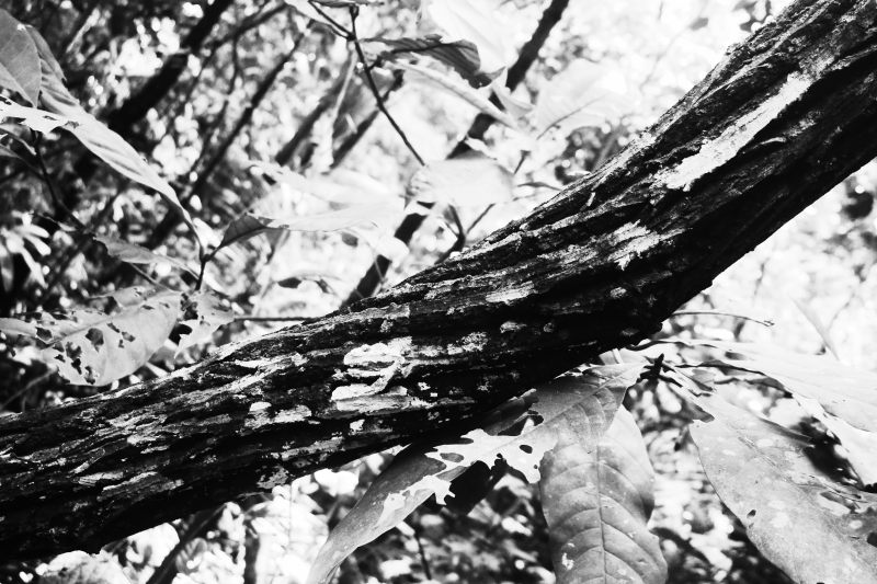 twisted