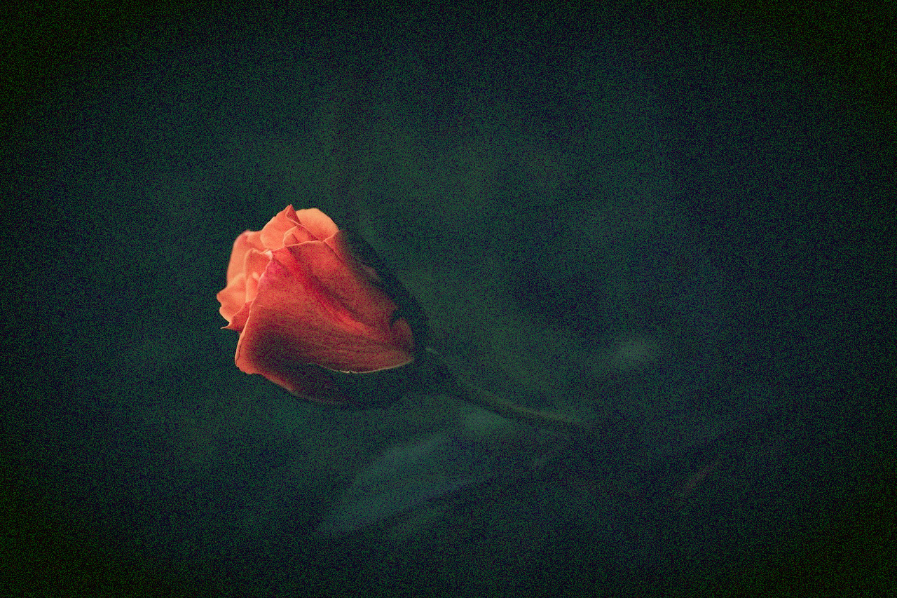 Beauty Lies In The Eye of The Beholder