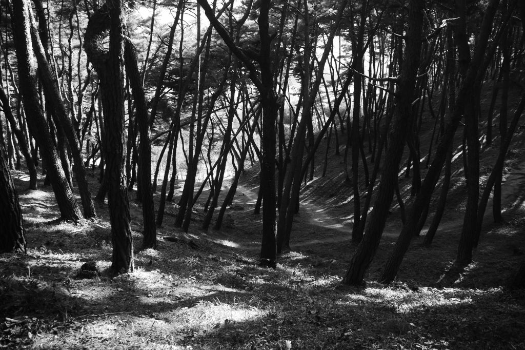 Soswaewon Garden Hill Top