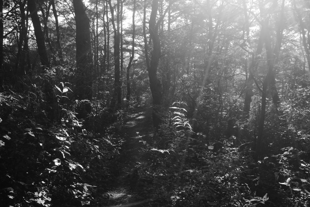 Soswaewon Garden Hill Top