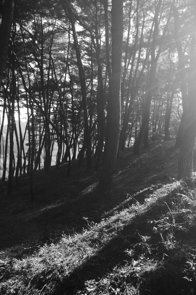 Soswaewon Garden Hill Top