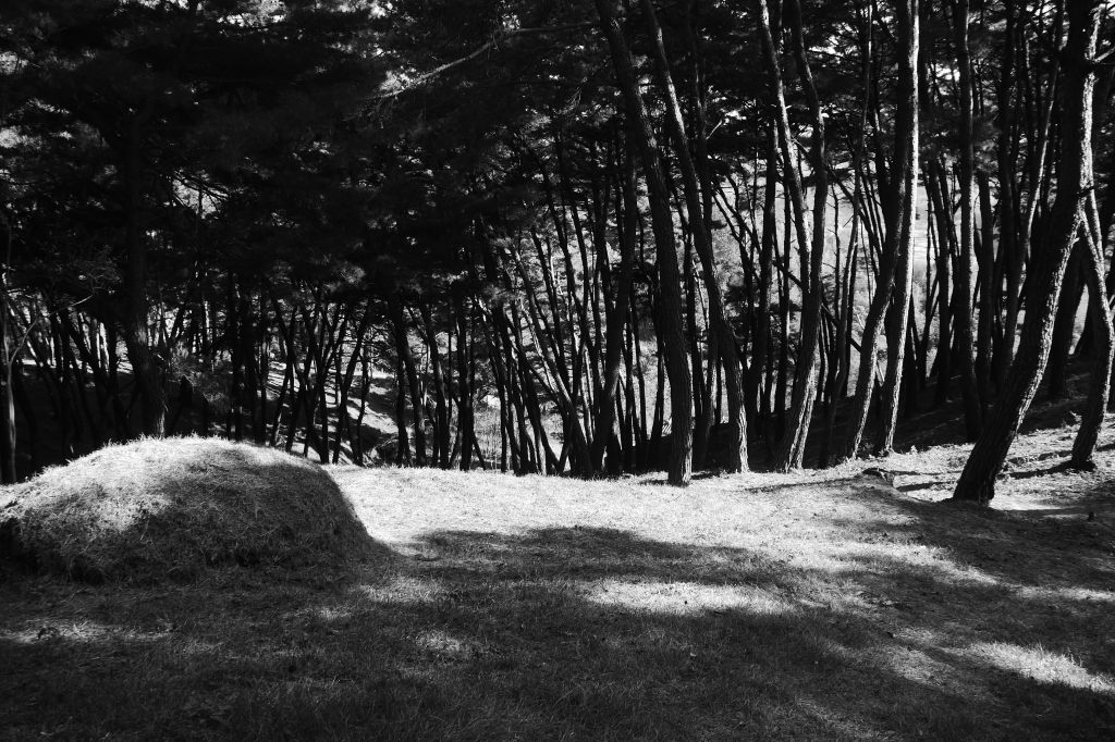 Soswaewon Garden Hill Top